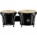 Bongo Fiberglass